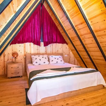 Tiny House *